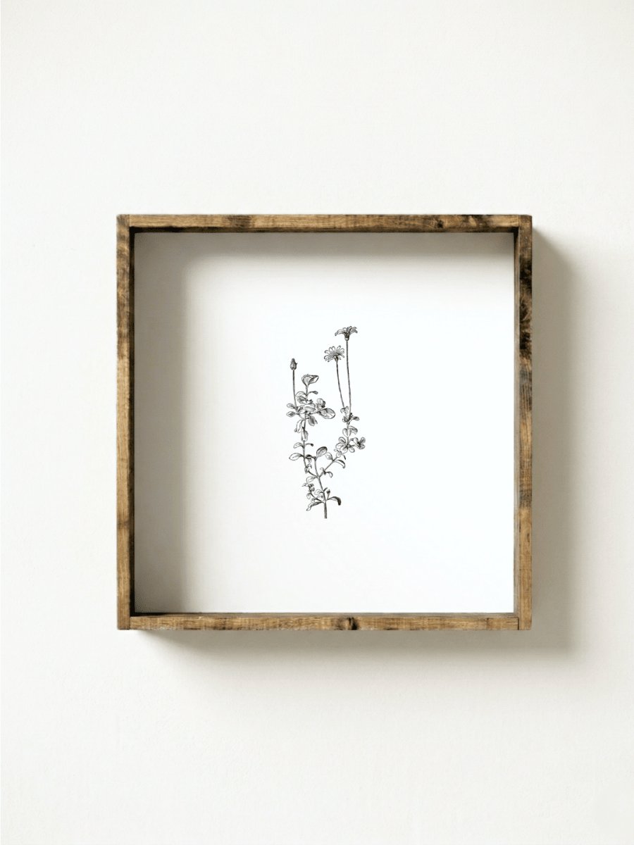 Vintage Floral Stem Framed Print (No. 1) - WilliamRaeDesigns