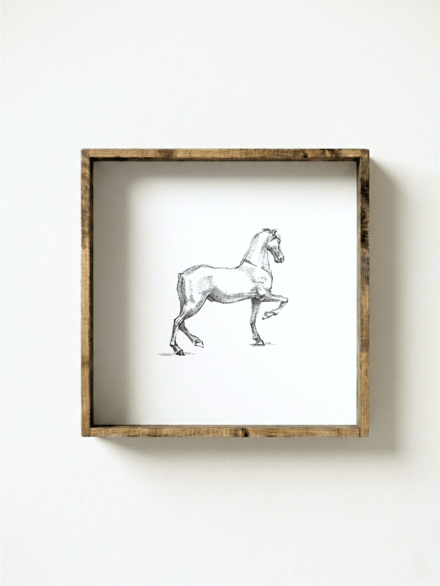 Vintage Horse Sketch Framed Print - WilliamRaeDesigns