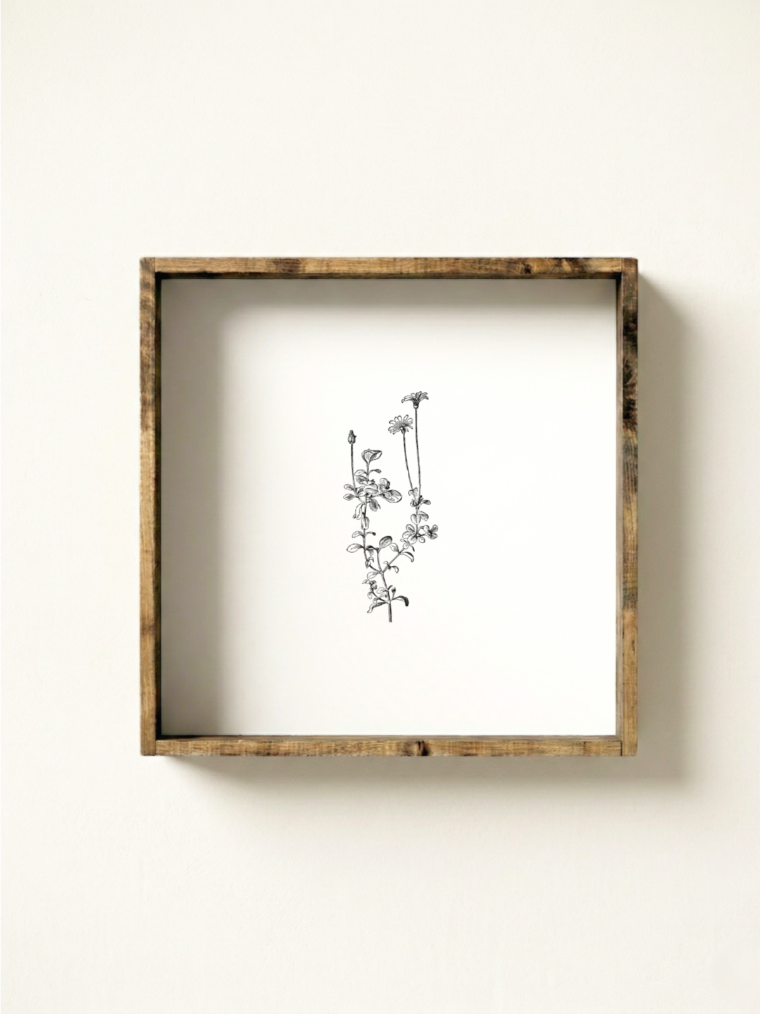 Vintage Floral Stem Framed Print (No. 1)