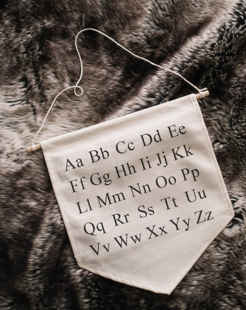 Alphabet Canvas Banner - WilliamRaeDesigns