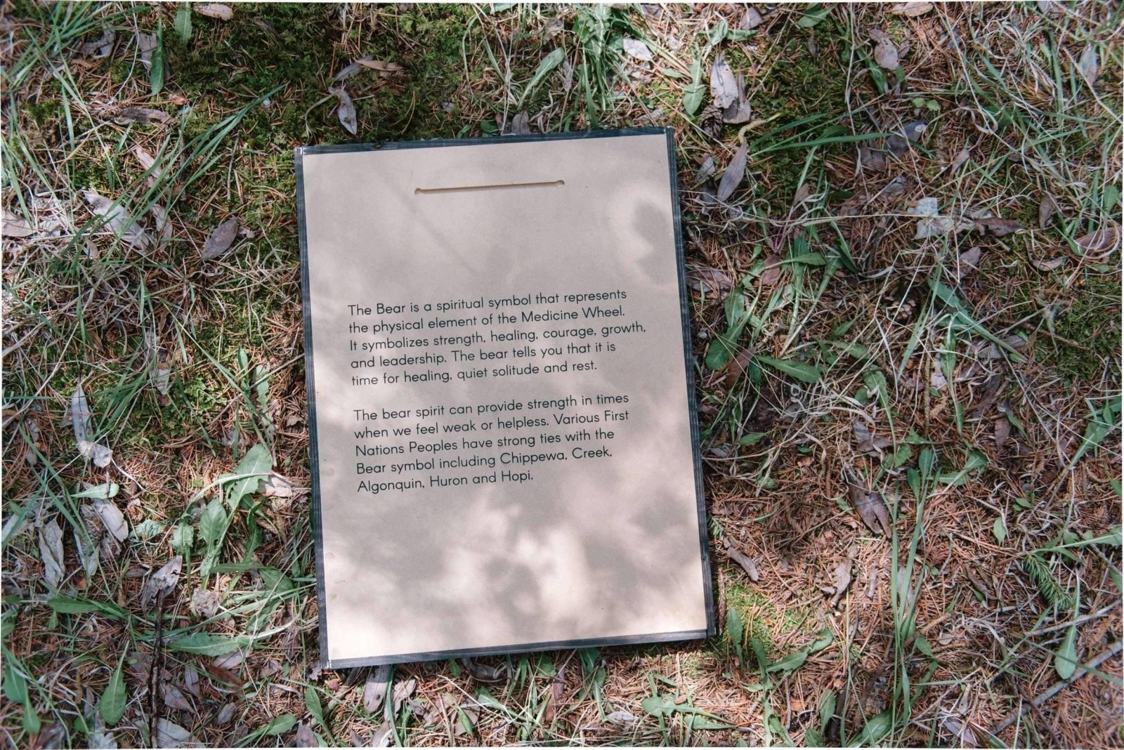 WilliamRaeDesigns Bear Paw Symbol | Wood Sign