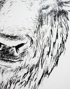 Buffalo Head (Earl) | Wood Sign farmhouse signs, rustic signs, joanna gaines style signs, farmhouse decor, Farmhouse style