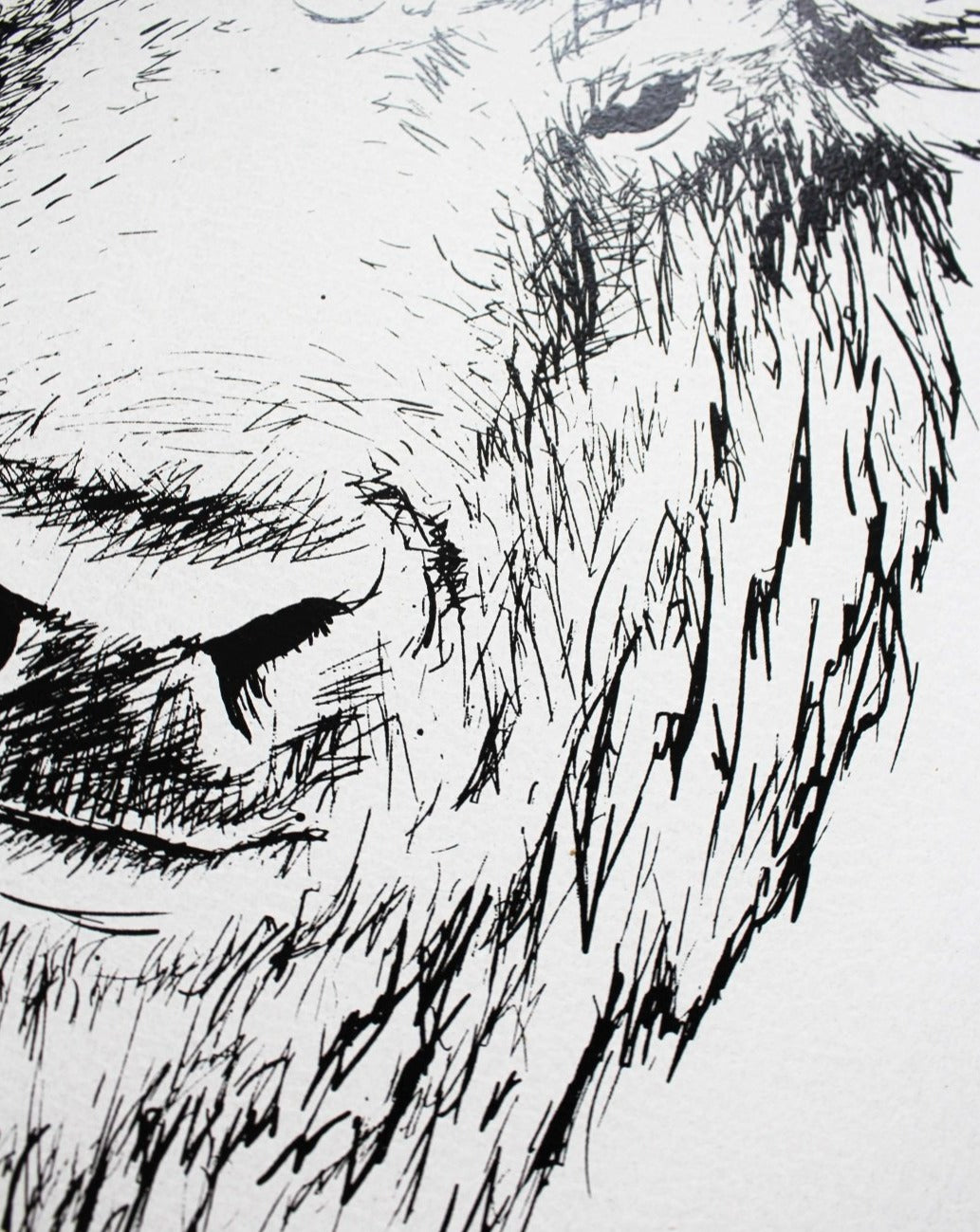 Buffalo Head (Earl) | Wood Sign farmhouse signs, rustic signs, joanna gaines style signs, farmhouse decor, Farmhouse style