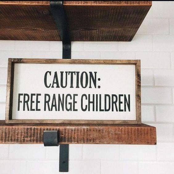 Caution Free Range Children | Wood Sign farmhouse signs, rustic signs, joanna gaines style signs, farmhouse decor, Farmhouse style
