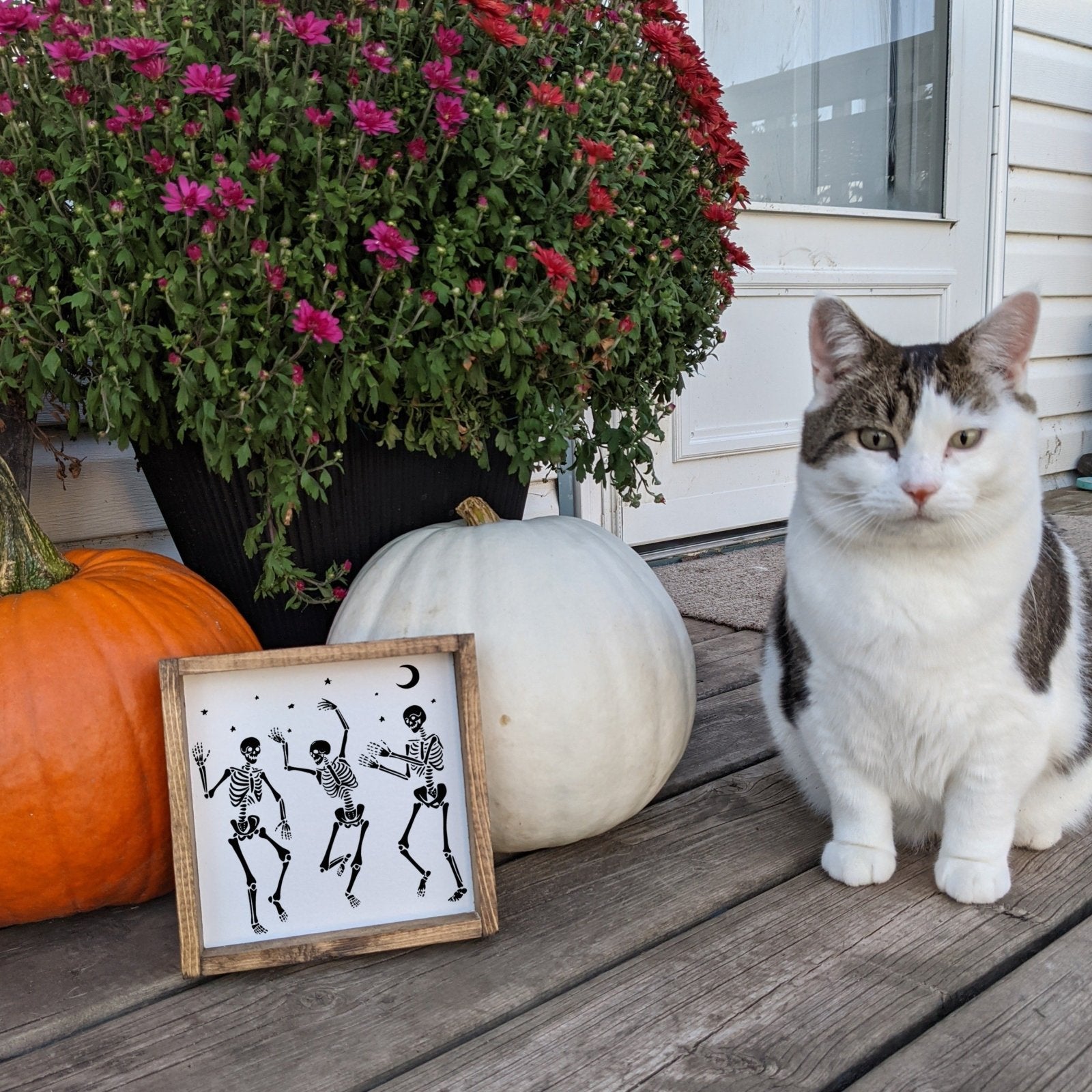 Skeleton Mini Wood Sign - WilliamRaeDesigns