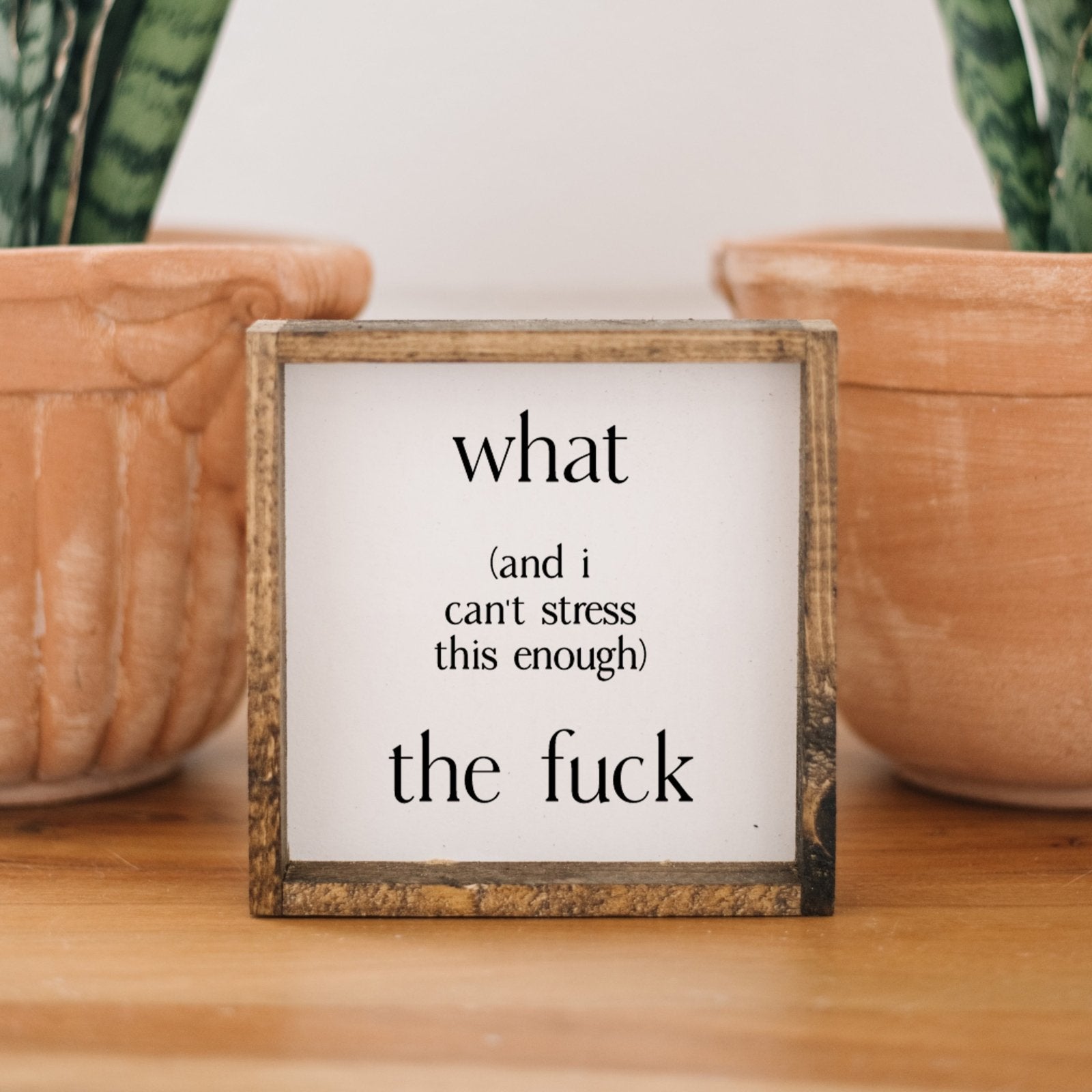 What (and I cannot stress this enough) the Fuck? | Wood Sign - WilliamRaeDesigns